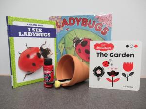 Picture of Ladybug books, pot, and paint. 